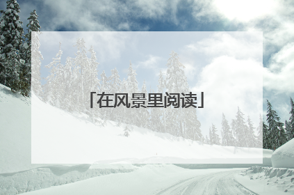 在风景里阅读